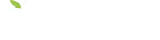 Studio Anto Design